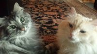 20160726_184711.jpg