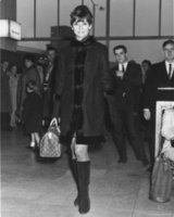 audrey.jpg