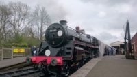 DSC_5494.jpg