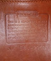 IMG_20170501_175855650.jpg