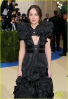 dakota-johnson-met-gala-2017-03.jpg