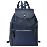 longchamp_backpack_le_foulonne_1550021556_0.png