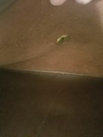 20170408_190040 2.jpg