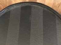 close up 2.jpg
