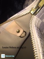 lv bag ring.jpg