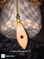 lv bag tab.jpg