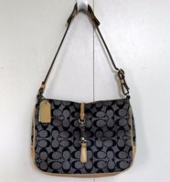 issagiftcards fake coach 6091.jpeg