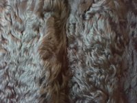 20170510_174124.jpeg