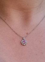 _20170512_070014.JPG