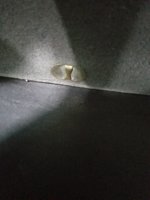 20170513_162734 2.jpg