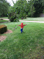 IMG_1495171534.999843.jpg