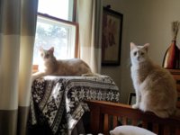 20170513_095700.jpeg