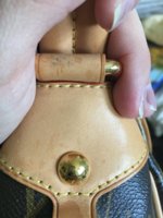 image.jpeg