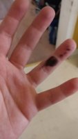 20170520_182417.jpg