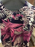 IMG_0557.jpeg