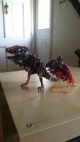 20170524_151223.jpg