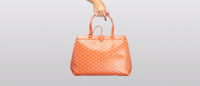 goyard orange.png