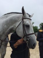 gris perle.JPG