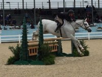 gris perle jump2.jpg