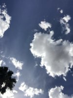 IMG_1030.JPG