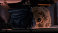 Coach bag Sneakers movie.png