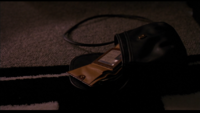 Coach bag Sneakers movie 2.png