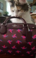 20170603_105817.jpg