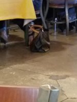 20170526_194447.jpeg