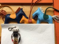 IMG_1497143060.637199.jpg
