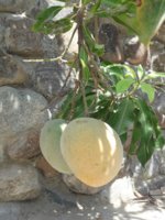 IMG-20170612-WA0003.jpg