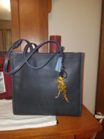 20170617_123815.jpeg
