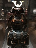 Samurai front 2 resize.jpg
