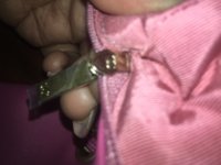 image.jpeg
