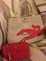 Longchamp Roseau Fleuri.jpg