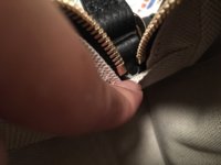 IMG_1498169514.303165.jpg