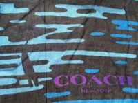 LandscapeShawl005sm.jpg