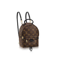 louis-vuitton-palm-springs-backpack-mini-monogram-canvas-handbags--M41562_PM2_Front view.jpg