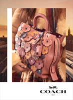 Coach-fall-2017-ad-campaign-the-impression-10.jpg