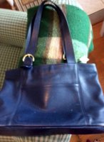 Coach 4155.JPG