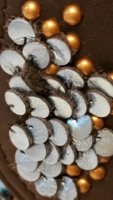 20170702_133610.jpeg