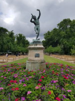 20170630_130412.jpg