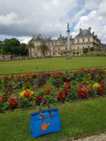 20170630_125341.jpg