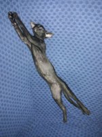 IMG-20170704-WA0035.jpg
