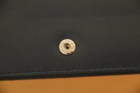 SnapClose_20807276.JPG