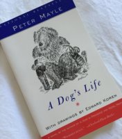 books9.jpg