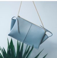 Celine Trifold Clutch On Chain – AMUSED Co