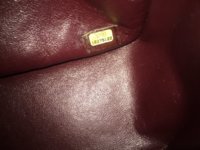 image.jpeg