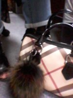 20170718_094222.jpg