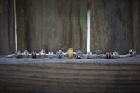 Gold 1 - IMG_1804.jpg