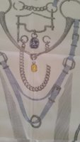 20170721_121325.jpeg